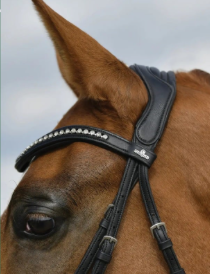Equi-Sense Bridle