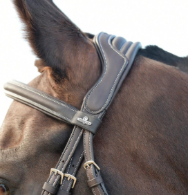 Equi-Sense Bridle